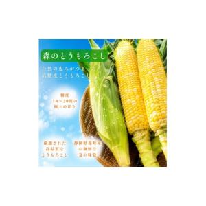 ふるさと納税 とうもろこし 静岡県 森町 とう...の詳細画像3