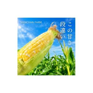 ふるさと納税 とうもろこし 静岡県 森町 とう...の詳細画像5