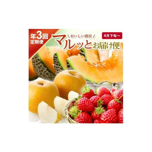 ふるさと納税 いちご 山形県 酒田市  3回定期便 おいしい酒田 マルっとお届け便2026(2) 4...