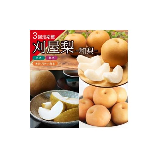 ふるさと納税 梨 山形県 酒田市  3回定期便 美味しい3種の刈屋梨2026 (幸水梨、豊水梨、あき...