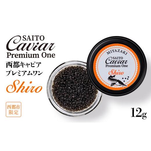 ふるさと納税 宮崎県 西都市 SAITO CAVIAR PREMIUM ONE SHIRO 12g＜...