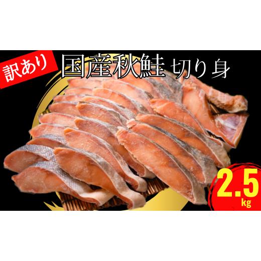 ふるさと納税 千葉県 銚子市 訳あり 国産 秋鮭 切り身 約2.5kg 辻野