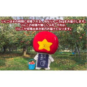 ふるさと納税 りんご 長野県 飯綱町 全国どこ...の詳細画像4