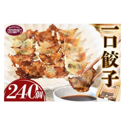 ふるさと納税 宮崎県 国富町 ＜一口餃子 240個入り＞翌月末迄に順次出荷【 餃子 ぎょうざ ギョウ...