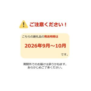 ふるさと納税 ぶどう マスカット 山形県 長井...の詳細画像3