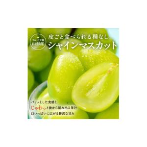 ふるさと納税 ぶどう マスカット 山形県 長井...の詳細画像4