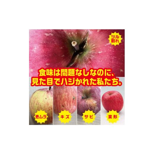 ふるさと納税 りんご 青森県 黒石市 R6年12月中旬〜発送予定 訳あり 青森県産りんご「サンふじ...