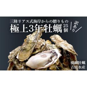 ふるさと納税 岩手県 陸前高田市 [ 訳あり ] 極上 殻付き牡蠣 25個 生牡蠣 ( 3年牡蠣 ) ※生食可 〜三陸リアスの海から贈り物〜 【 訳あり 規格外 不揃い 大容…