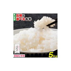 ふるさと納税 岡山県 浅口市 令和5年産 【きぬむすめ】 お米 白米 5kg 《30日以内に出荷予定(土日祝除く)》岡山県 浅口市 精米 米 送料無料 きぬむすめ