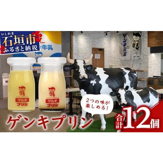 ふるさと納税 菓子 プリン 沖縄県 石垣市 ゲンキプリン 12個 （プレーン6個、マンゴー6個） 八...