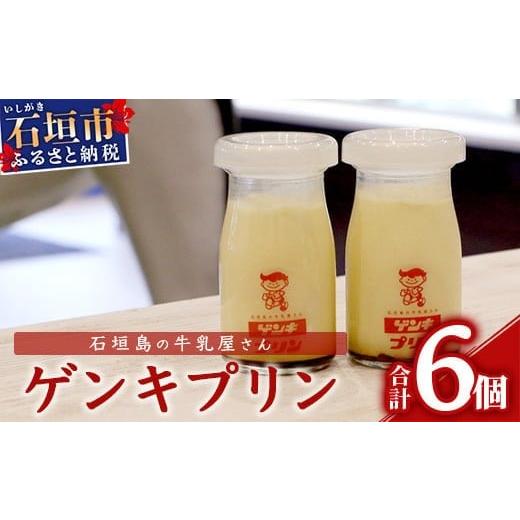 ふるさと納税 菓子 プリン 沖縄県 石垣市 ゲンキプリン 6個 プレーン 八重山ゲンキ乳業 お土産 ...