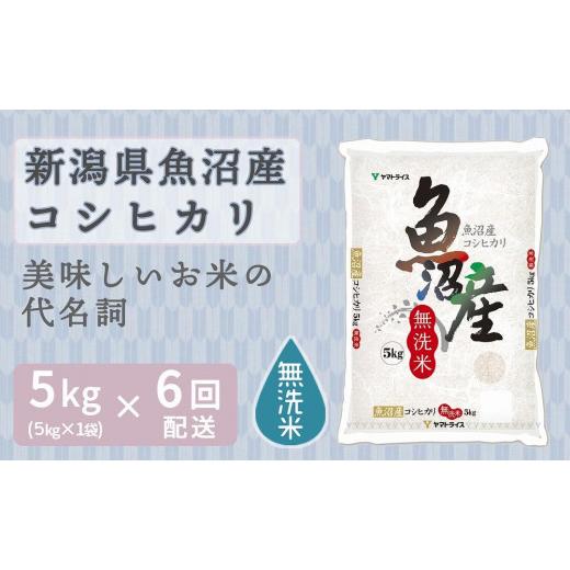 ふるさと納税 新潟県 - 【定期便全6回】無洗米新潟県魚沼産コシヒカリ5kg