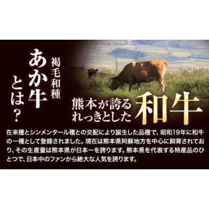 ふるさと納税 牛肉 熊本県 津奈木町 あか牛切...の詳細画像2
