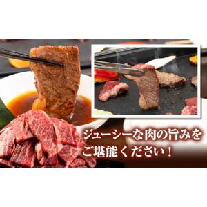ふるさと納税 牛肉 熊本県 津奈木町 あか牛切...の詳細画像5