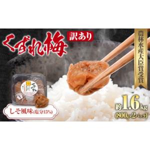 ふるさと納税 加工品等 梅干 和歌山県 日高川町...の商品画像