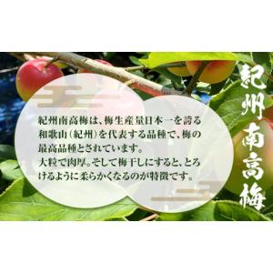ふるさと納税 加工品等 梅干 和歌山県 日高川...の詳細画像3