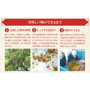 ふるさと納税 加工品等 梅干 和歌山県 日高川...の詳細画像5