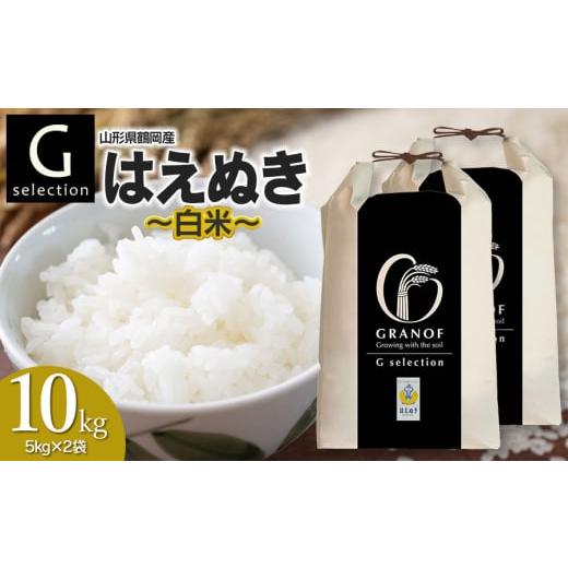 ふるさと納税 米 はえぬき 山形県 鶴岡市  令和7年産 新米 Gセレクション はえぬき 白米 10...