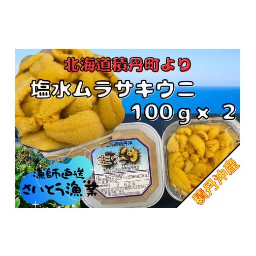 ふるさと納税 北海道 積丹町 【2024年6月より順次発送】漁師直送！積丹沖産！塩水ムラサキウニ 1...