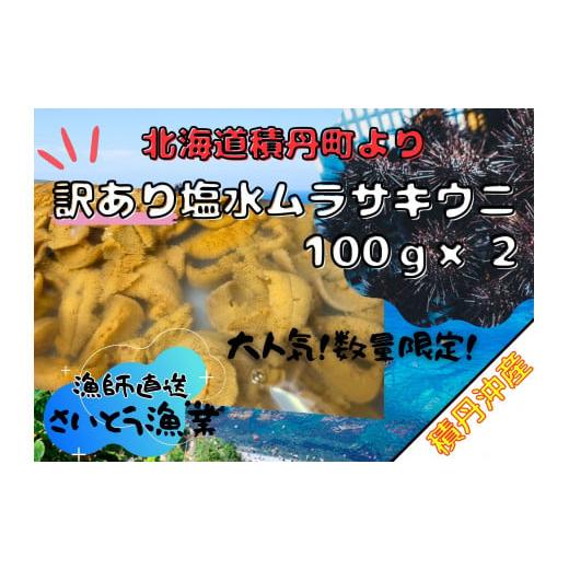 ふるさと納税 北海道 積丹町 【2024年6月より順次発送】漁師直送！積丹沖産！【訳あり】塩水ムラサ...