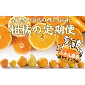 ふるさと納税 果物類 みかん 和歌山県 海南市...の詳細画像1