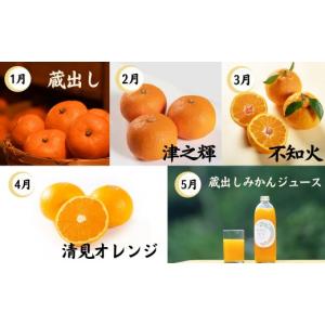 ふるさと納税 果物類 みかん 和歌山県 海南市...の詳細画像2