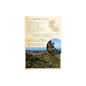 ふるさと納税 果物類 みかん 和歌山県 海南市...の詳細画像4