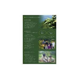 ふるさと納税 果物類 みかん 和歌山県 海南市...の詳細画像5