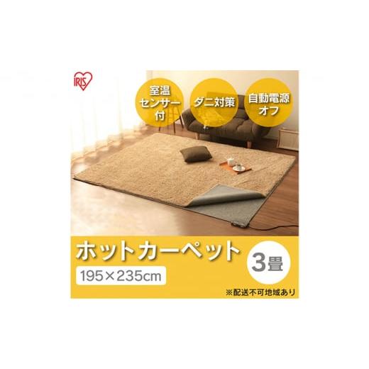 ふるさと納税 電化製品 宮城県 大河原町 ホットカーペット 電気カーペット ホットマット 195×2...