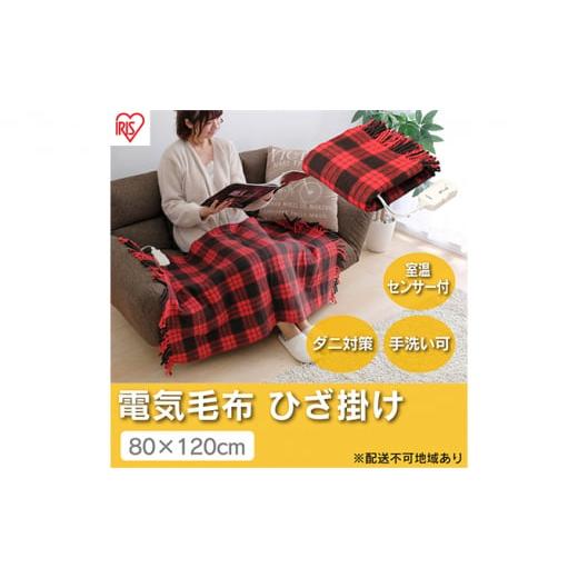 ふるさと納税 電化製品 宮城県 大河原町 電気毛布 ブランケット ひざ掛け 120×80cm EBK...