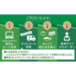 ふるさと納税 イベントやチケット等 宮崎県 宮...の詳細画像2