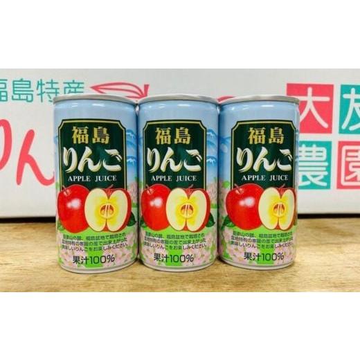 ふるさと納税 福島県 福島市 No.2779りんご缶ジュース サンふじ100％（30本入）