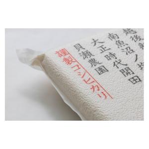 ふるさと納税 米 コシヒカリ 新潟県 南魚沼市...の詳細画像4