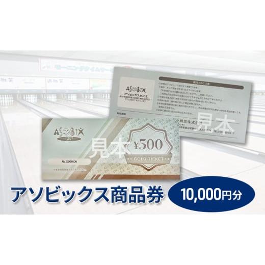 ふるさと納税 愛知県 蟹江町 [No.5830-0302]アソビックス商品券10000円分