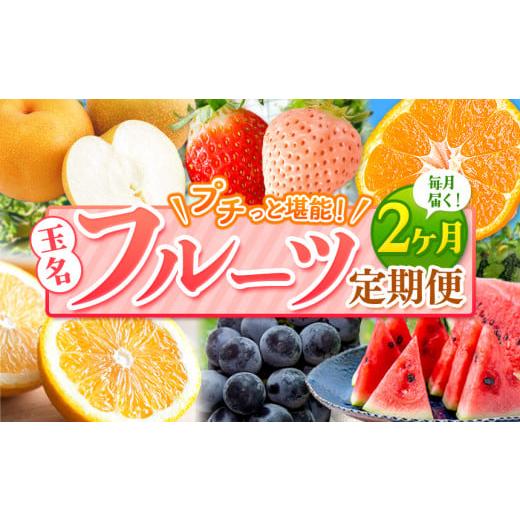 ふるさと納税 熊本県 玉名市 【 定期便 2回 】 プチっと 堪能 ！ 人気 フルーツ （ いちご ...