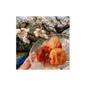 ふるさと納税 加工品等 梅干 和歌山県 みなべ...の詳細画像1