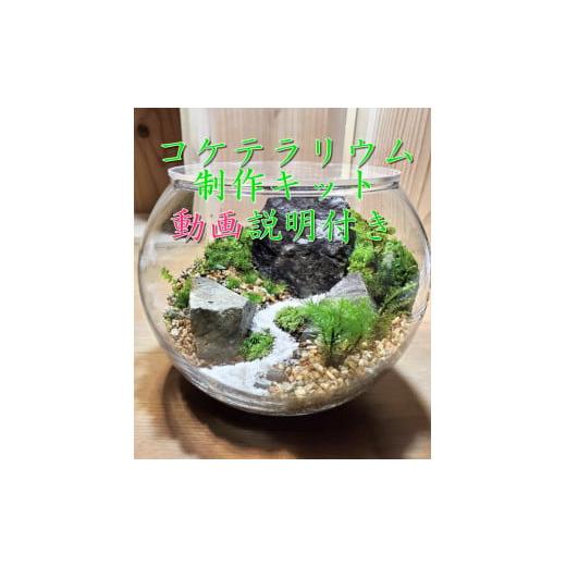 ふるさと納税 雑貨・日用品 インテリア 京都府 宇治田原町 コケテラリウム制作キット 直径15cm ...