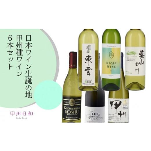 ふるさと納税 山梨県 甲州市 日本ワイン生誕の地 甲州種ワイン6本セット（KSB）F-655