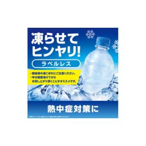 ふるさと納税 飲料類 富山県 砺波市 アクエリ...の詳細画像4