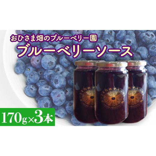 ふるさと納税 千葉県 八街市 【おひさま畑のブルーベリー園】ブルーベリーソース（170g）3本