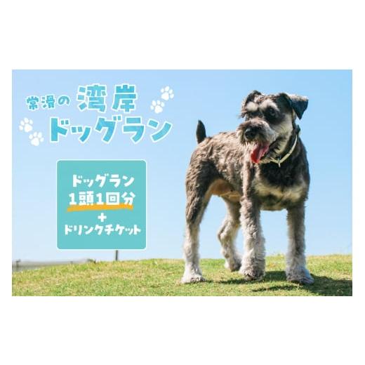 ふるさと納税 愛知県 常滑市 【海を一望できるドッグラン 利用チケット】ドッグラン 1頭1回+ドリン...