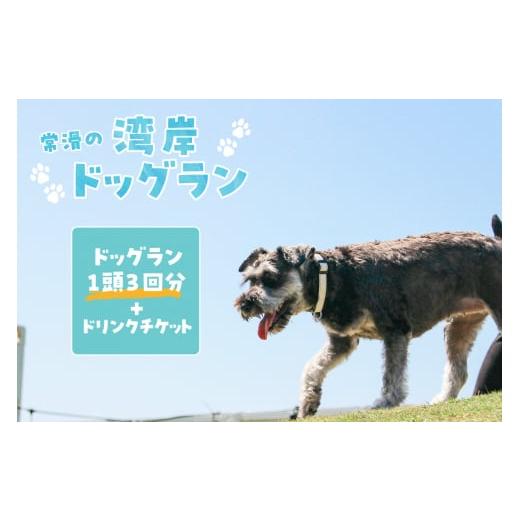 ふるさと納税 愛知県 常滑市 【海を一望できるドッグラン 利用チケット】ドッグラン 1頭3回+ドリン...