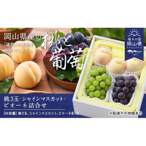 ふるさと納税 もも 岡山県 瀬戸内市 桃 ぶど...の詳細画像1