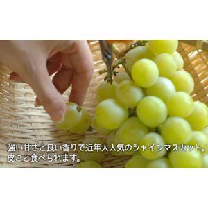 ふるさと納税 もも 岡山県 瀬戸内市 桃 ぶど...の詳細画像3