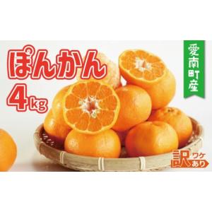 ふるさと納税 みかん・柑橘類 愛媛県 愛南町 訳あり ポンカン 4kg 7000円 みかん mikan 蜜柑 ミカン ぽんかん 産地直送 国産 農家直送 糖度 期間限定 数量限定…｜ふるさとチョイス