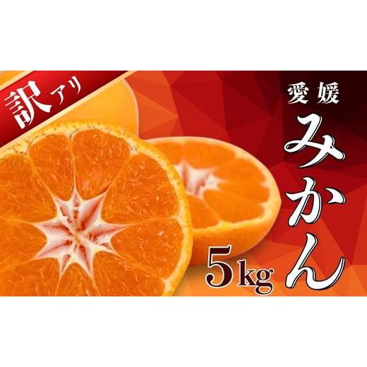 ふるさと納税 果物類 柿 愛媛県 愛南町 訳あり 愛媛みかん 5kg 果物 柑橘 みかん 蜜柑 フル...
