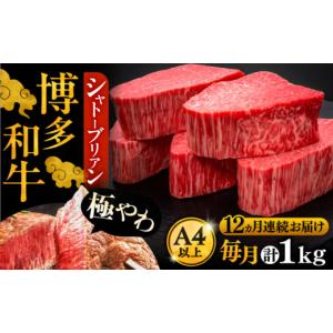 ふるさと納税 牛肉 ヒレ 福岡県 豊前市 全1...の詳細画像1