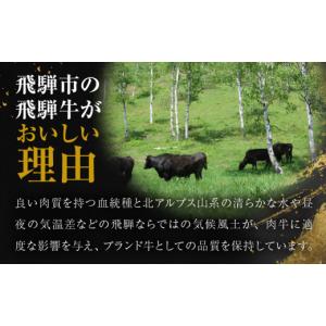 ふるさと納税 牛肉 ヒレ 岐阜県 飛騨市 ＼1...の詳細画像4