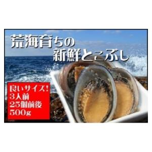 ふるさと納税 高知県 東洋町 活き〆とこぶし 500g 冷凍...