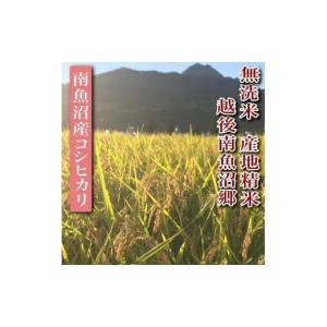 ふるさと納税 無洗米 新潟県 南魚沼市 令和8...の詳細画像5